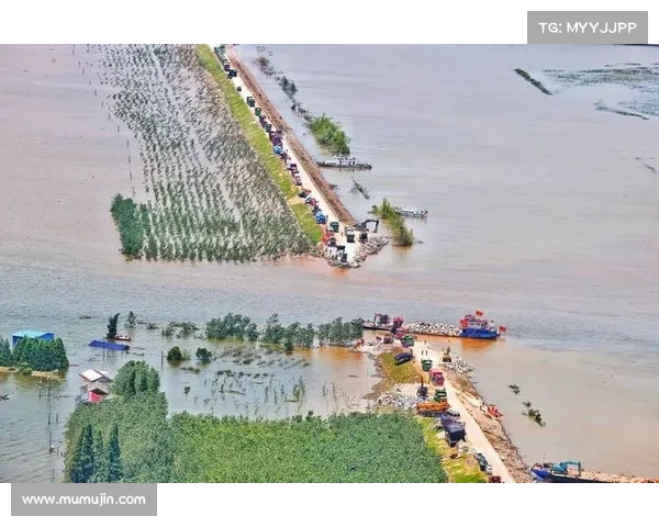 面对洞庭湖决口，喊口号已无效：应摒弃形式主义，提升应急响应能力！