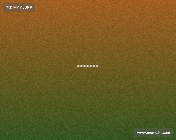 湖人队首战告捷，球迷欢呼声不断